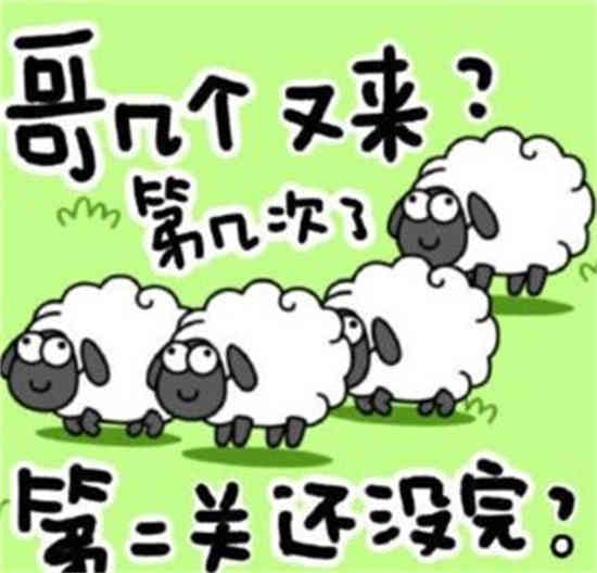 羊了个羊加载失败是什么原因 微信/抖音羊了个羊加载不出来解决方法